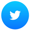 twitter icon - Risk Tree Service