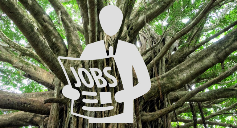 jobs -  New Orleans - Risk Tree Service 