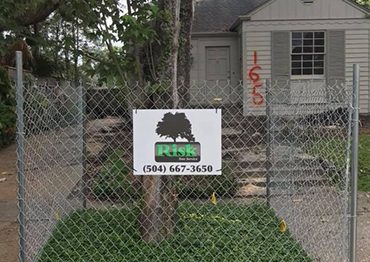 Tree Preservation Services -  New Orleans