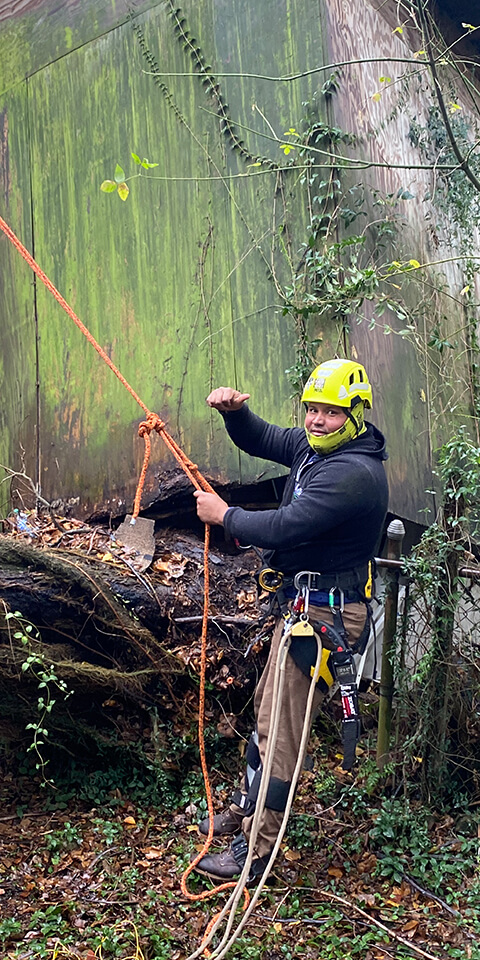 Risk Tree Service Team Cutting Trees -  New Orleans