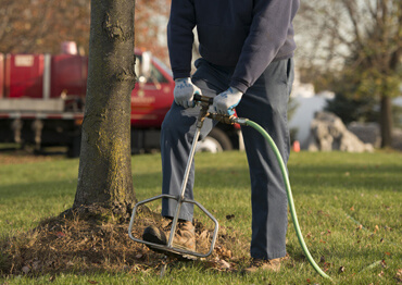 Deep Root Fertilization