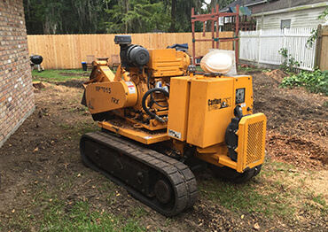 Stump Grinding