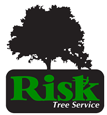 Risk Tree Service