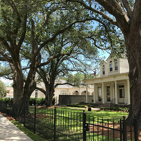 Risk Tree Services, Louisiana's #1 Choice