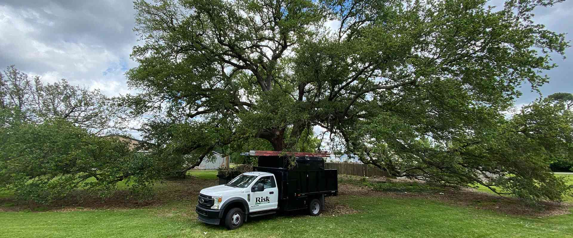 EXPERIENCE THE DIFFERENCE